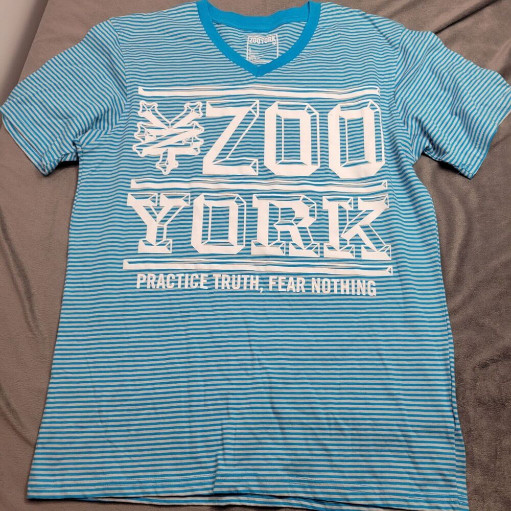 Zoo York Mens Blue & White Striped V-Neck Graphic Tee Shirt "Practice Truth Fear